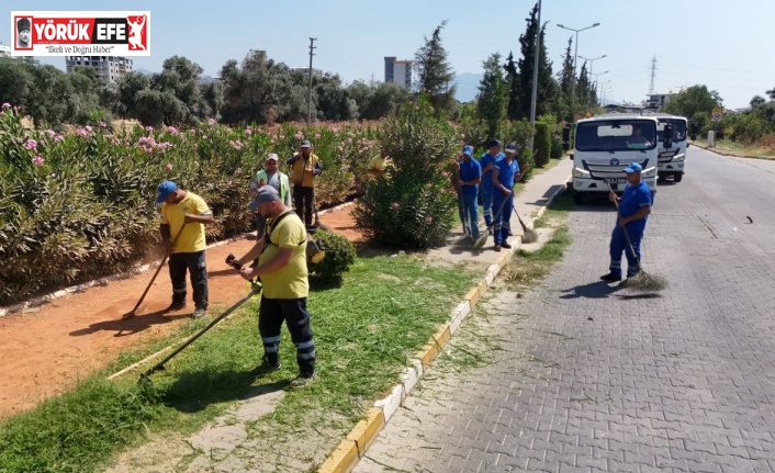 Büyükşehir ekipleri Nazilli’de temizlik ve peyzaj çalışması gerçekleştirdi
