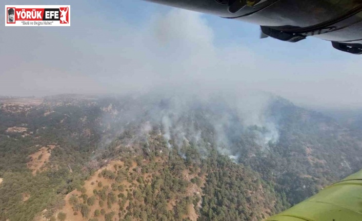 Denizli’den Aydın’a sıçrayan yangında müdahale çalışmaları sürüyor