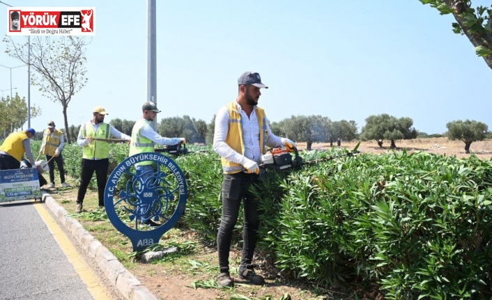 Didim’de çevre ve peyzaj düzenlemesi gerçekleştirildi