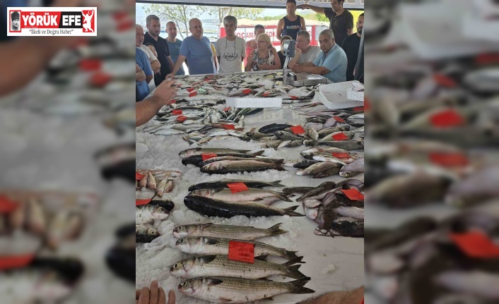 Didim’de ilk balık mezatı gerçekleştirildi