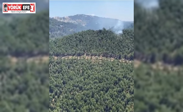 Ekiplerin anında müdahalesi felaketi önledi