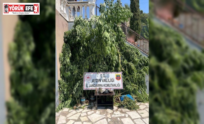 Evinin bahçesine saklamak istedi, narkotik köpeğine takıldı