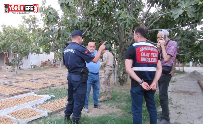Germencik’te incir hırsızlığına karşı jandarmadan sıkı denetim