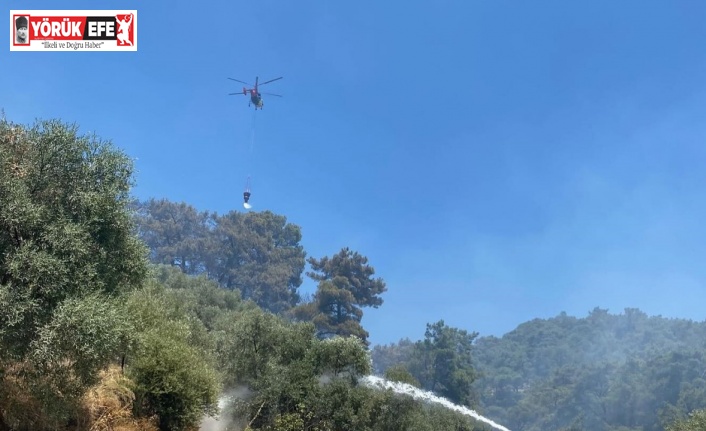 Germencik’teki orman yangını kontrol altına alındı