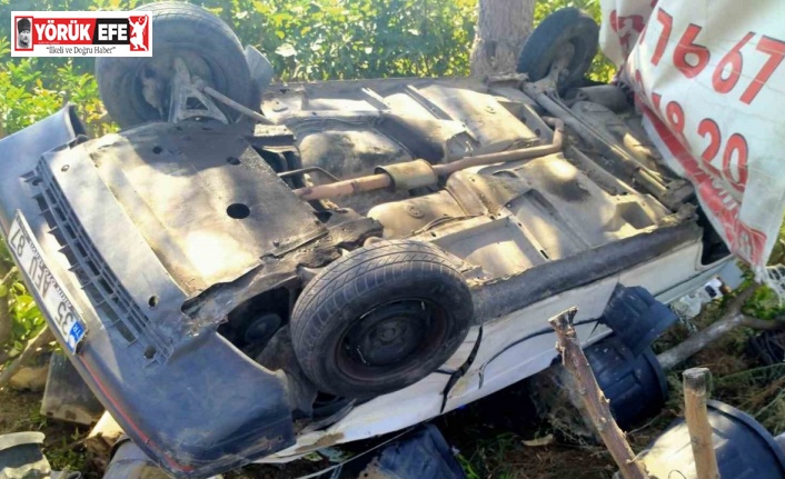 Hakimiyeti kaybolan otomobil fidanlığı uçtu: 1 yaralı