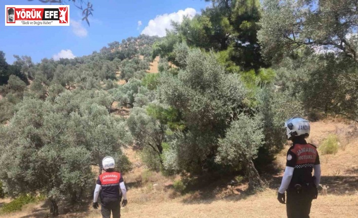 Jandarma Aydın’da yangın nöbetinde