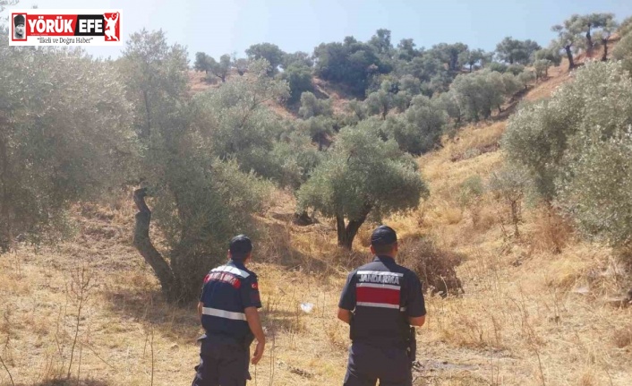 Jandarmadan hava destekli orman denetimi