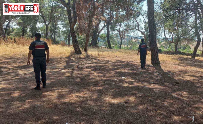 Jandarmadan orman devriyesi