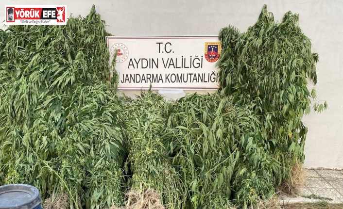 Jandarmadan uyuşturucu operasyonu: 17 yakalama