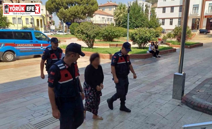 Kayınpeder öfkesi 3 hektarı küle çevirdi