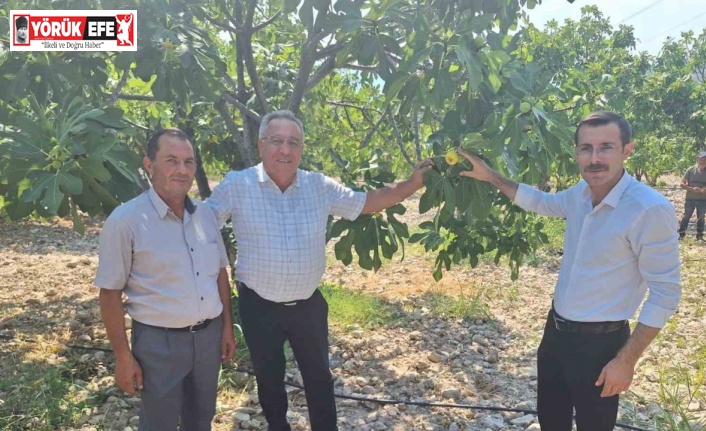 Kaymakam Polat, incir üreticileriyle bir araya geldi