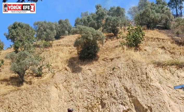 Köşk’teki zirai alan yangını kontrol altına alındı