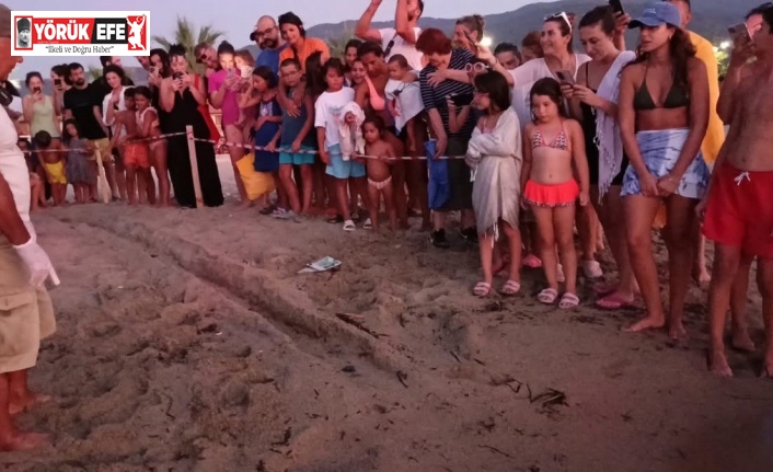 Kuşadası’nda koruma altındaki yuvadan ilk yavrular denize ulaştı