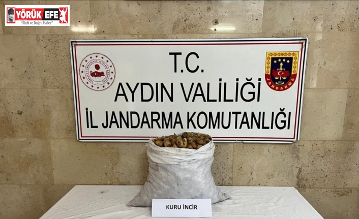 Motosikletli incir hırsızı jandarmadan kaçamadı