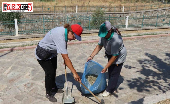 Nazilli Belediyesi’nden Dallıca Çayı’nda kapsamlı çalışma