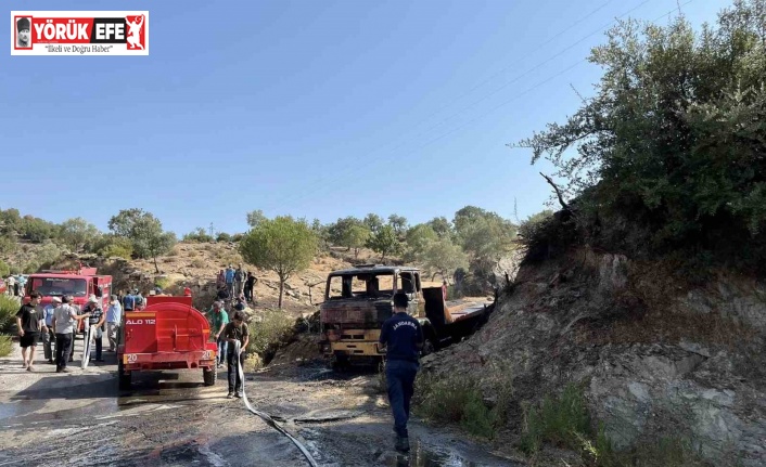 Park halindeki kamyon tamamen yandı