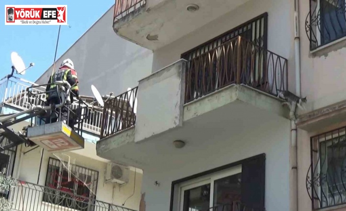 Sevimli kediyi kurtarmak için tüm ekipler seferber oldu, o kurtarılacağı anda atlayıp gitti