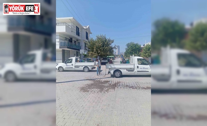 Söke Belediyesi’nden haşerelere karşı "Nokta Atışı" mücadele