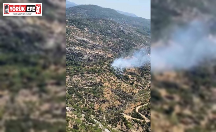 Söke’nin Latmos Dağları Değirmen Boğazı’nda yangın alarmı