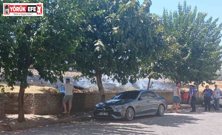 Tren yolunda kenarında çıkan yangın araçlara sıçramadan söndürüldü