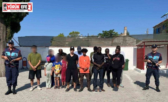 Zeytinlik alana saklanan 16 düzensiz göçmen yakalandı