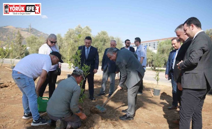 ADÜ’de ’Yeşil Kampüs’ çalışmaları devam ediyor