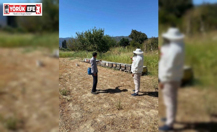 Arıcılık desteklemeleri için kovan sayımları tamamlandı