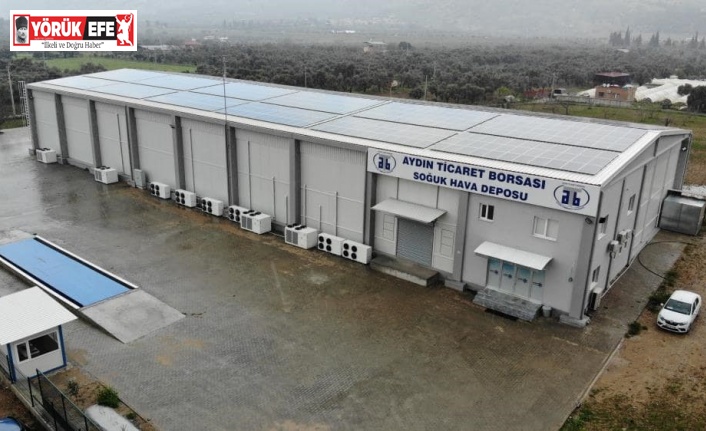 ATB’den kuru İncir üreticisine çifte destek