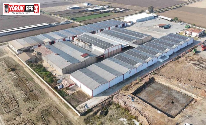 Aydın’da 35 milyon TL’ye GES yatırımı yapıldı