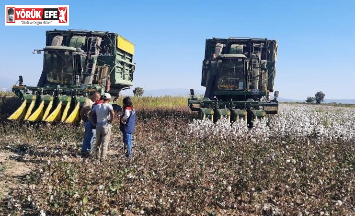 Aydın’da pamuk toplama fiyatı belirlendi
