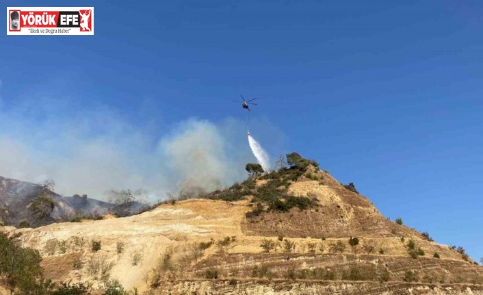 Aydın’daki yangını söndürme çalışmaları sürüyor