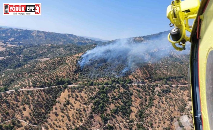 Aydın’daki zirai alan yangınına havadan ve karadan müdahale sürüyor