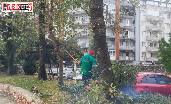 Başkan Anıl Yetişkin “Vatandaşlarımızın Güvenliği için çalışıyoruz”