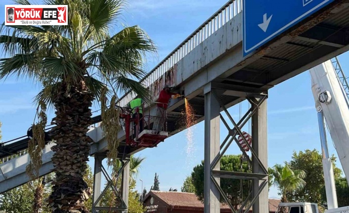 Başkan Kaya talep etti, atıl üst geçit kaldırılıyor