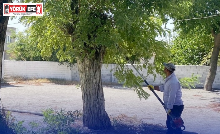 Çine’de okul bahçeleri yeni döneme hazır