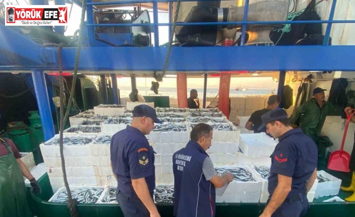 Didim ve Söke’de su ürünleri denetimi