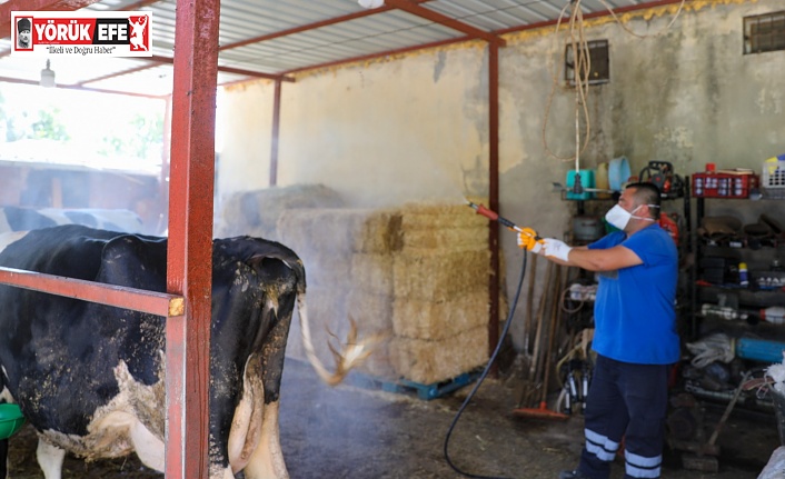 Efeler Belediyesi’nden Halk Sağlığı İçin Kesintisiz Mücadele