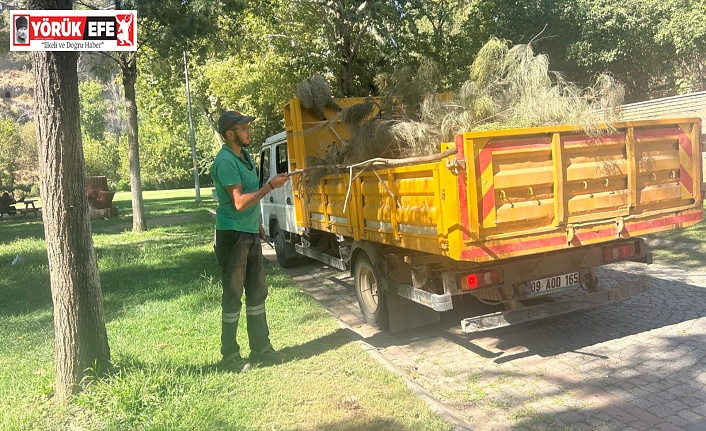 EFELER’İN YEŞİL EKİPLERİNDEN PINARBAŞI’NDA KAPSAMLI ÇALIŞMA
