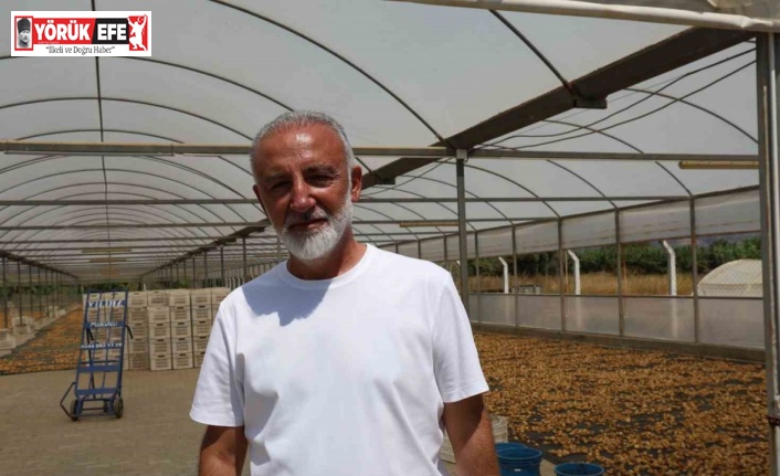 İncir üreticisi tek çatı altında toplanmak için çalışma başlattı