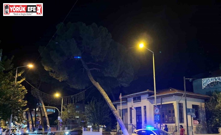 İncirliova’da çam ağacı kuvvetli rüzgara dayanamadı