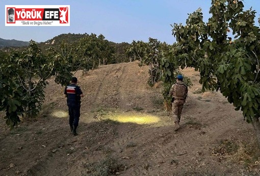 Jandarmadan incir nöbeti