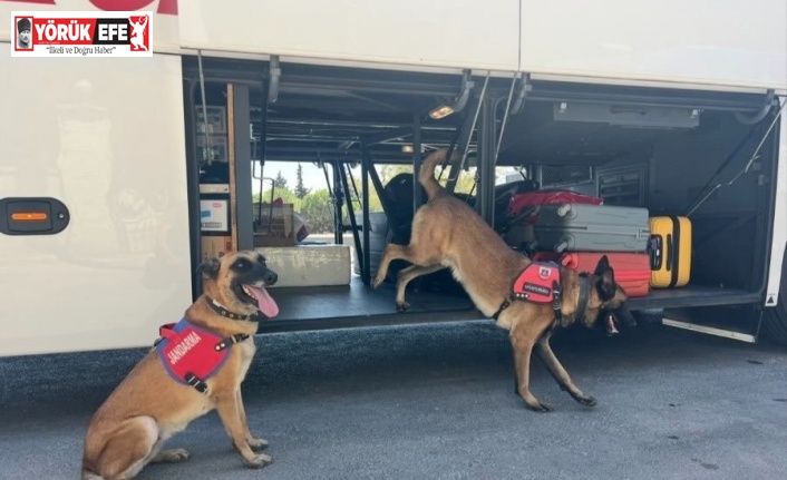 Jandarmadan ‘uyuşturucu’ denetimi