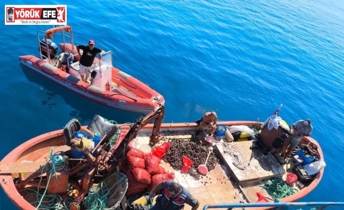 Kaçak avlanan 600 kilo midye tekrar denize bırakıldı