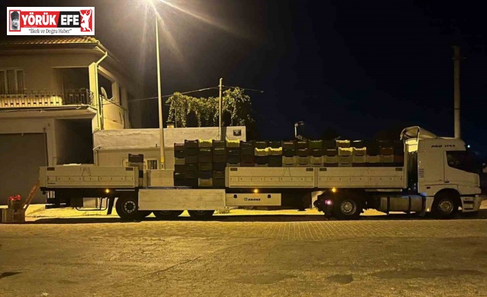 Kardeşköy’de bamya sezonu hız kesmiyor