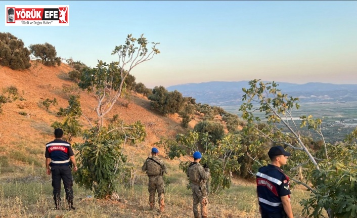 Köşk’te jandarmadan incir nöbeti