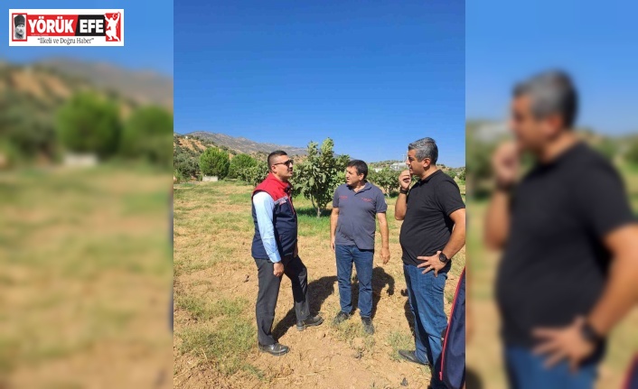 Köşk’te tarımsal zararlılarla mücadele için sahaya indiler