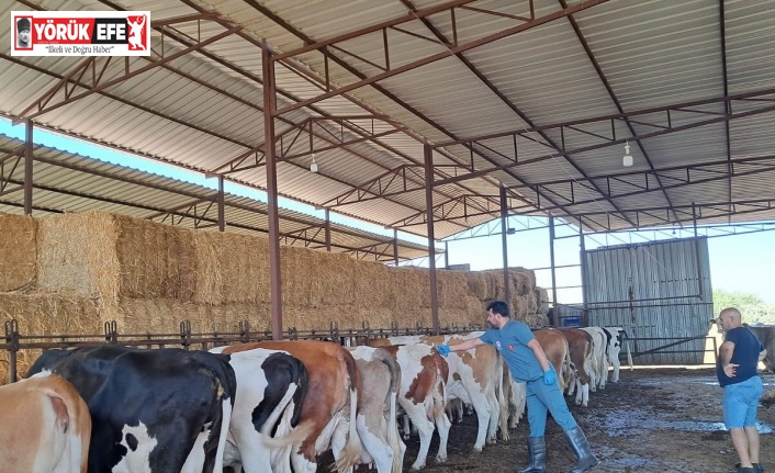 Kuyucak’ın 13 mahallesinde giriş çıkışlar yasaklandı