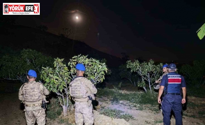 Kuyucak’ta jandarmadan incir nöbeti