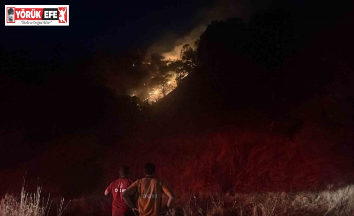 Pınardere yangını kontrol altına alındı