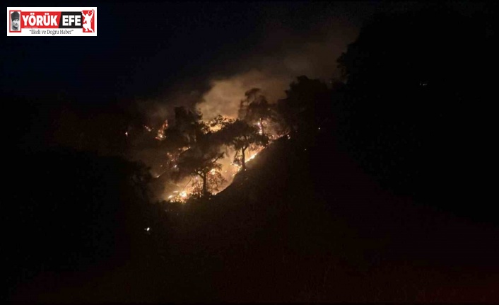 Pınardere’de alevler yeniden yükseldi